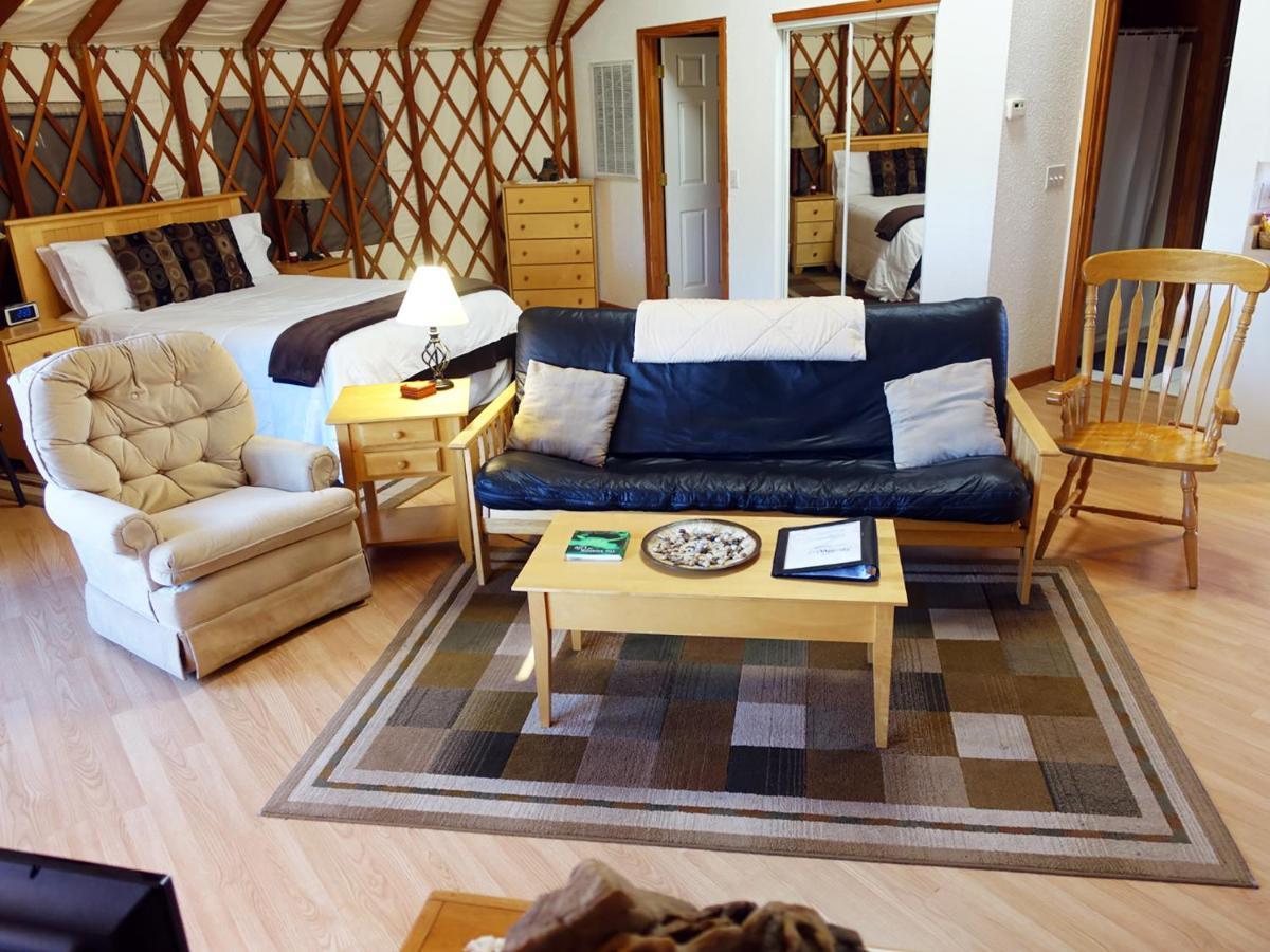 הוילה Chester Stonewind Retreat מראה חיצוני תמונה