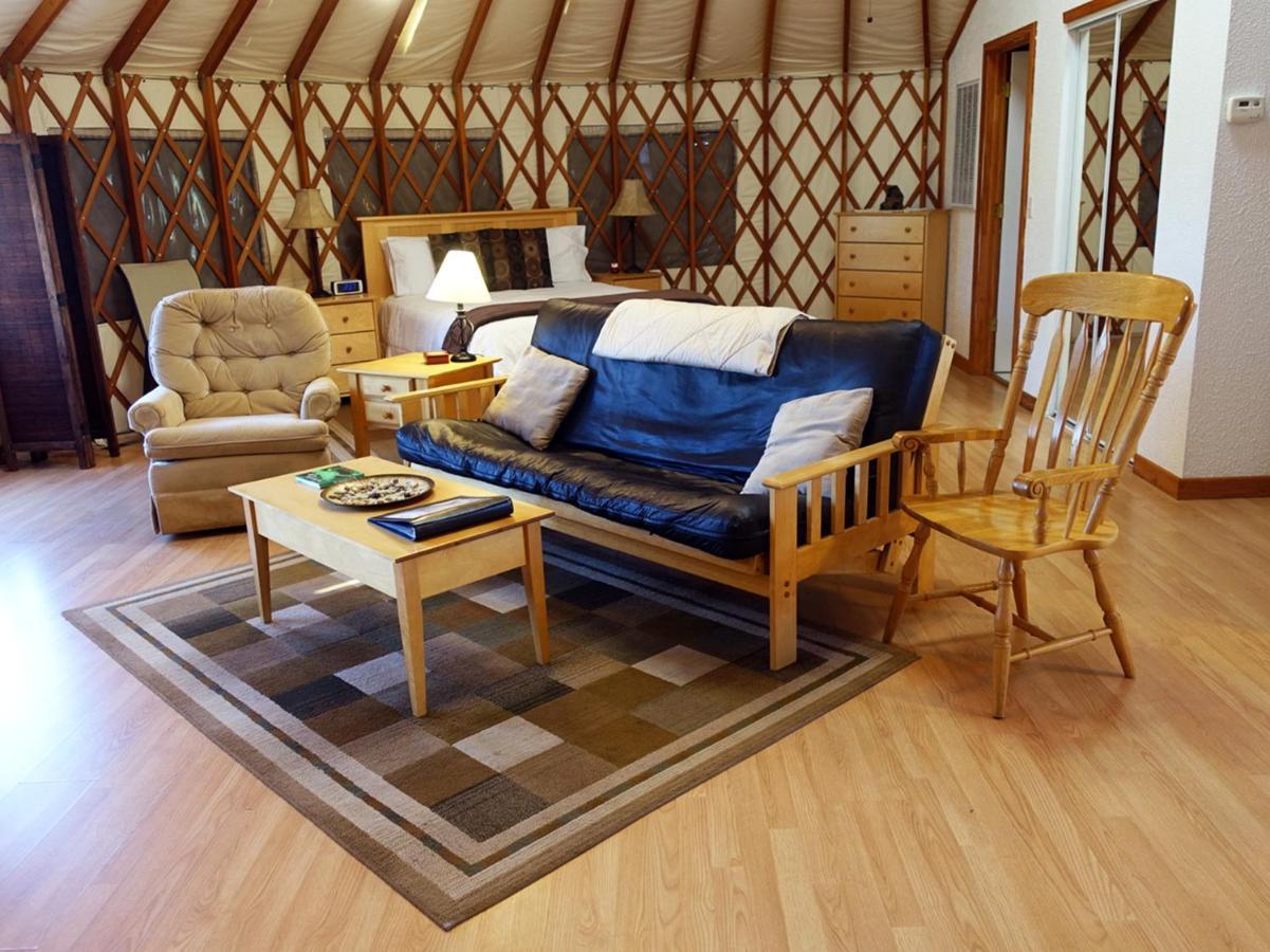 הוילה Chester Stonewind Retreat מראה חיצוני תמונה